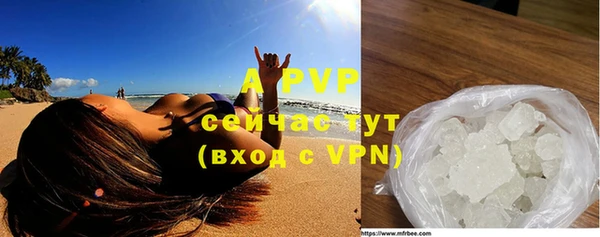 соль ск Арсеньев
