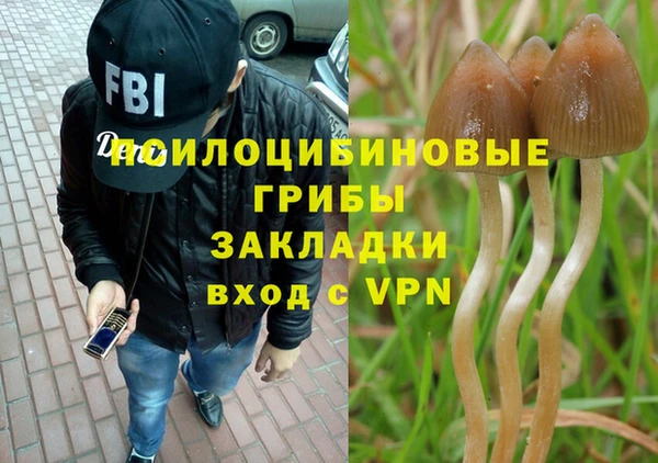 герыч Мегион