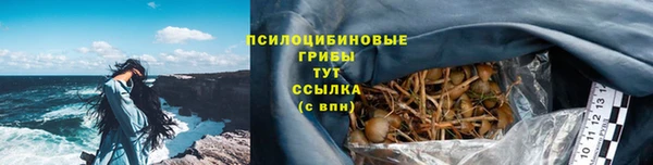 марки lsd Медногорск
