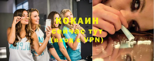a pvp Аркадак