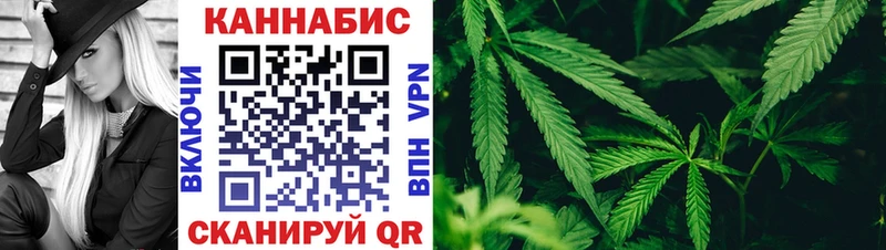 Шишки марихуана план  Могоча 